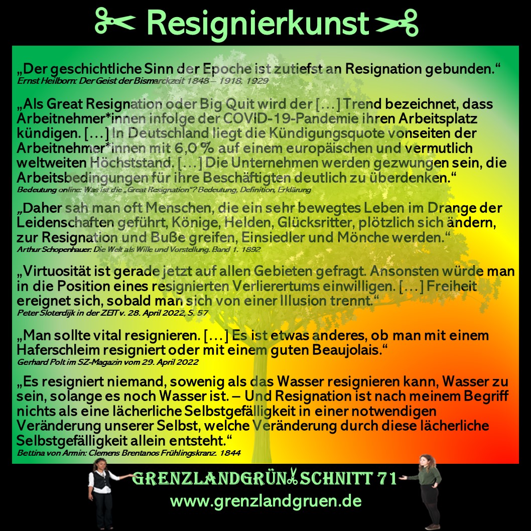 71 Resignierkunst.jpg